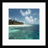 Shallow Water Near Beach by Anonymous