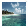 Shallow Water Near Beach by Anonymous