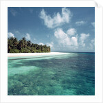 Shallow Water Near Beach by Anonymous