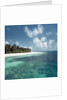 Shallow Water Near Beach by Anonymous