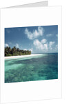 Shallow Water Near Beach by Anonymous