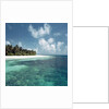 Shallow Water Near Beach by Anonymous