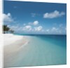 Beach and Surf by Anonymous