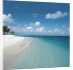 Beach and Surf by Anonymous