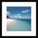 Beach and Surf by Anonymous