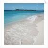 Beach and Surf by Anonymous