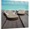 Thong Shoes by Anonymous