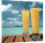 Tropical Cocktails by Anonymous