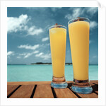 Tropical Cocktails by Anonymous