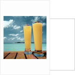 Tropical Cocktails by Anonymous