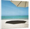 Shadow of Umbrella on the Beach by Anonymous