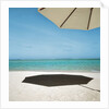 Shadow of Umbrella on the Beach by Anonymous