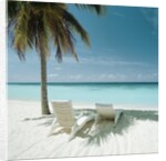Palm Tree and Beach Chair by Anonymous