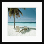 Palm Tree and Beach Chair by Anonymous