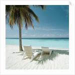 Palm Tree and Beach Chair by Anonymous