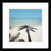 Shadow of Palm Tree on a Beach by Anonymous