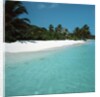 Shallow Water Near a Tropical Beach by Anonymous