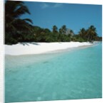Shallow Water Near a Tropical Beach by Anonymous
