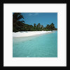 Shallow Water Near a Tropical Beach by Anonymous