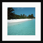 Shallow Water Near a Tropical Beach by Anonymous