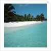 Shallow Water Near a Tropical Beach by Anonymous