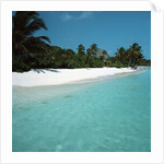 Shallow Water Near a Tropical Beach by Anonymous