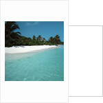 Shallow Water Near a Tropical Beach by Anonymous