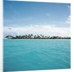 Shallow Water Near Tropical Island by Anonymous