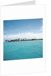 Shallow Water Near Tropical Island by Anonymous