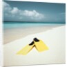 Swim Fins on the Beach by Anonymous
