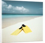Swim Fins on the Beach by Anonymous