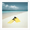Swim Fins on the Beach by Anonymous