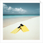Swim Fins on the Beach by Anonymous
