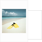 Swim Fins on the Beach by Anonymous
