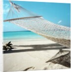 Hammock at the Beach by Anonymous