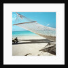 Hammock at the Beach by Anonymous