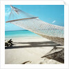 Hammock at the Beach by Anonymous