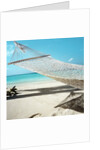 Hammock at the Beach by Anonymous