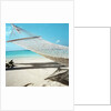 Hammock at the Beach by Anonymous