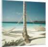 Hammocks Tied to a Palm Tree by Anonymous