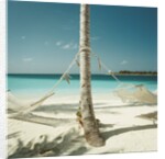 Hammocks Tied to a Palm Tree by Anonymous