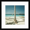 Hammocks Tied to a Palm Tree by Anonymous