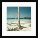 Hammocks Tied to a Palm Tree by Anonymous