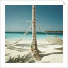 Hammocks Tied to a Palm Tree by Anonymous