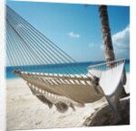 Hammock on a Beach by Anonymous