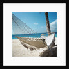 Hammock on a Beach by Anonymous