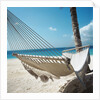 Hammock on a Beach by Anonymous