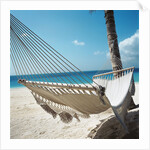 Hammock on a Beach by Anonymous