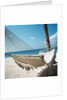 Hammock on a Beach by Anonymous