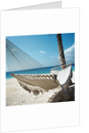 Hammock on a Beach by Anonymous